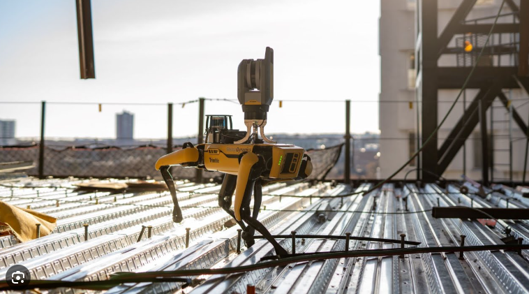 Home construction robotic imange